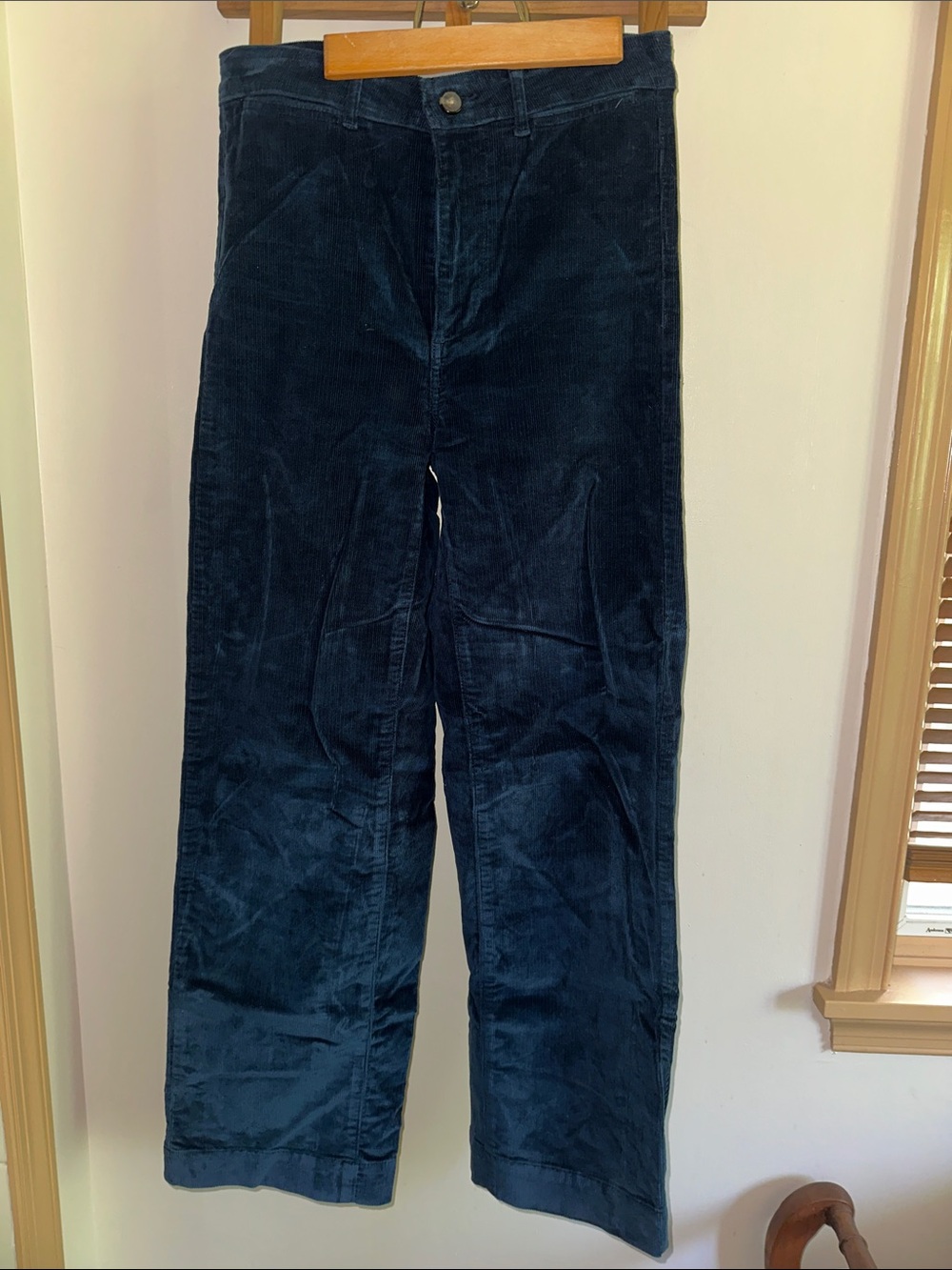 Everlane Navy Corduroy Wide Leg Pant